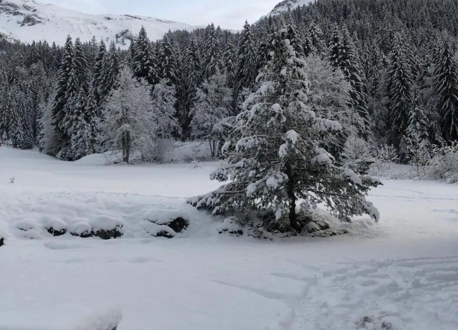 Hotel La Kinkerne Morzine